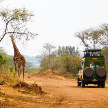 3-Day Akagera National Park Wildlife Tour