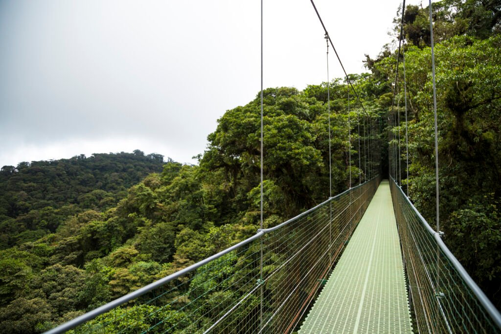 Nyungwe National Park