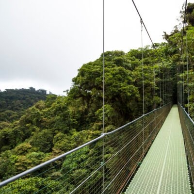 Nyungwe National Park