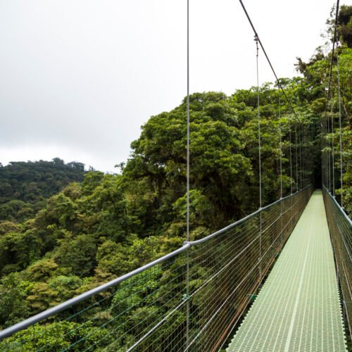 Nyungwe National Park