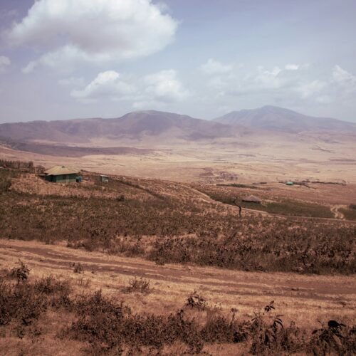 mariola-grobelska-orrSFKmgtQU-unsplash