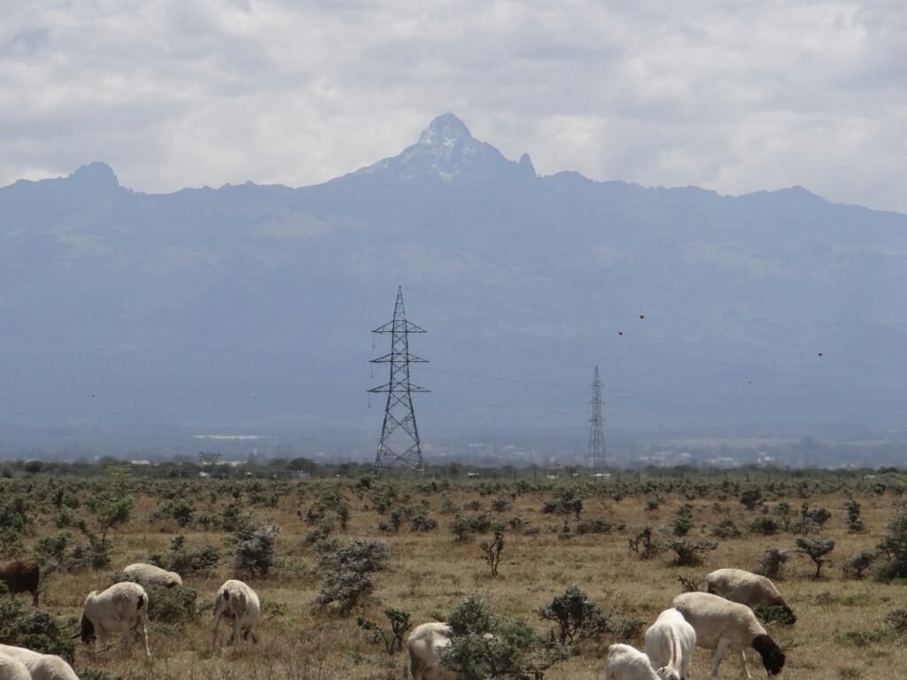 Mount Kenya National Park