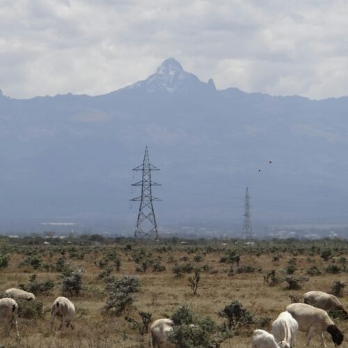 Mount Kenya National Park