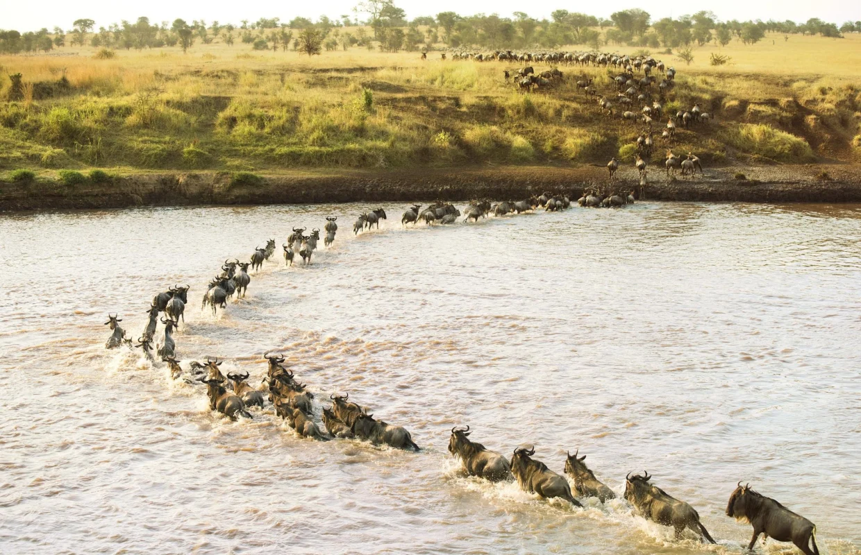 best-safari-circuits-in-east-africa