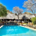 best-safari-lodges-for-big-five-tours
