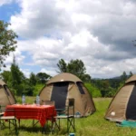 budget-tanzania-safari-tours