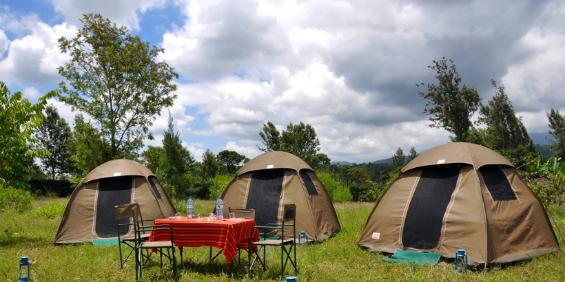 budget-tanzania-safari-tours