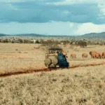 best-online-safari-booking-tips