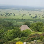 best-safari-lodges-for-big-five-tours-in-uganda