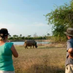 how-to-stay-safe-during-safari-tours