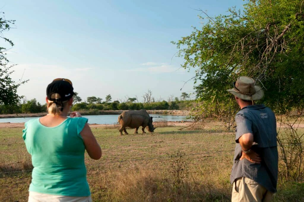 how-to-stay-safe-during-safari-tours