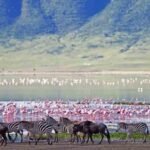 ngorongoro-crater-wildlife-tours