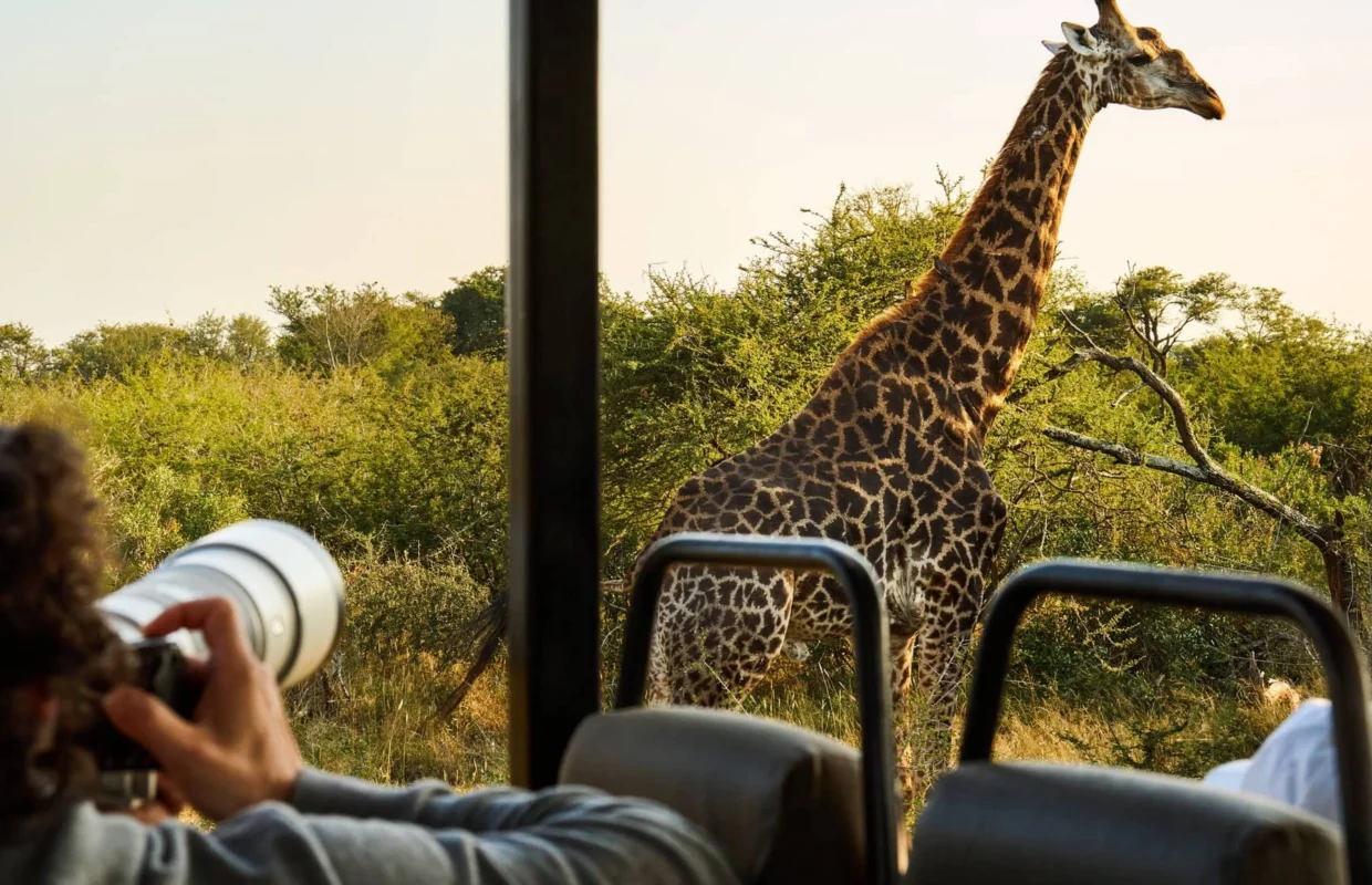 how-to-plan-a-luxury-safari-in-uganda-rwanda-and-kenya