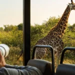how-to-plan-a-luxury-safari-in-uganda-rwanda-and-kenya