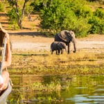 best-safari-travel-insurance-tips