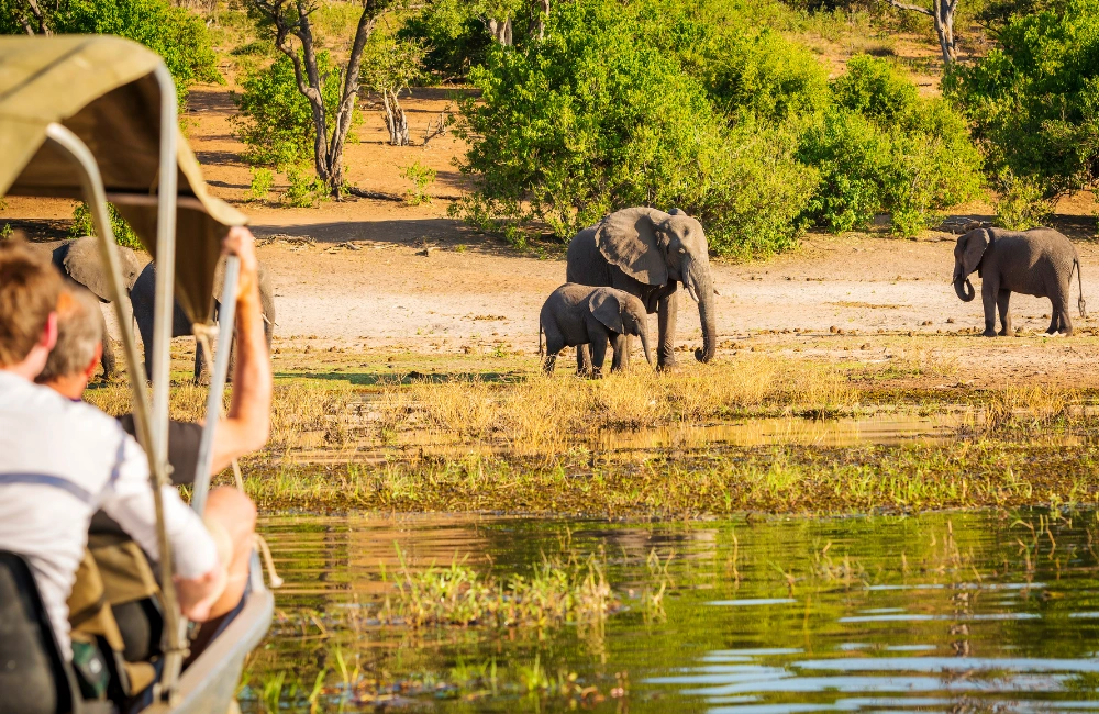 best-safari-travel-insurance-tips
