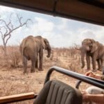 kid-friendly-wildlife-experiences-in-uganda