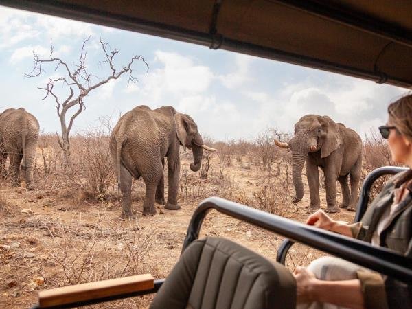 kid-friendly-wildlife-experiences-in-uganda
