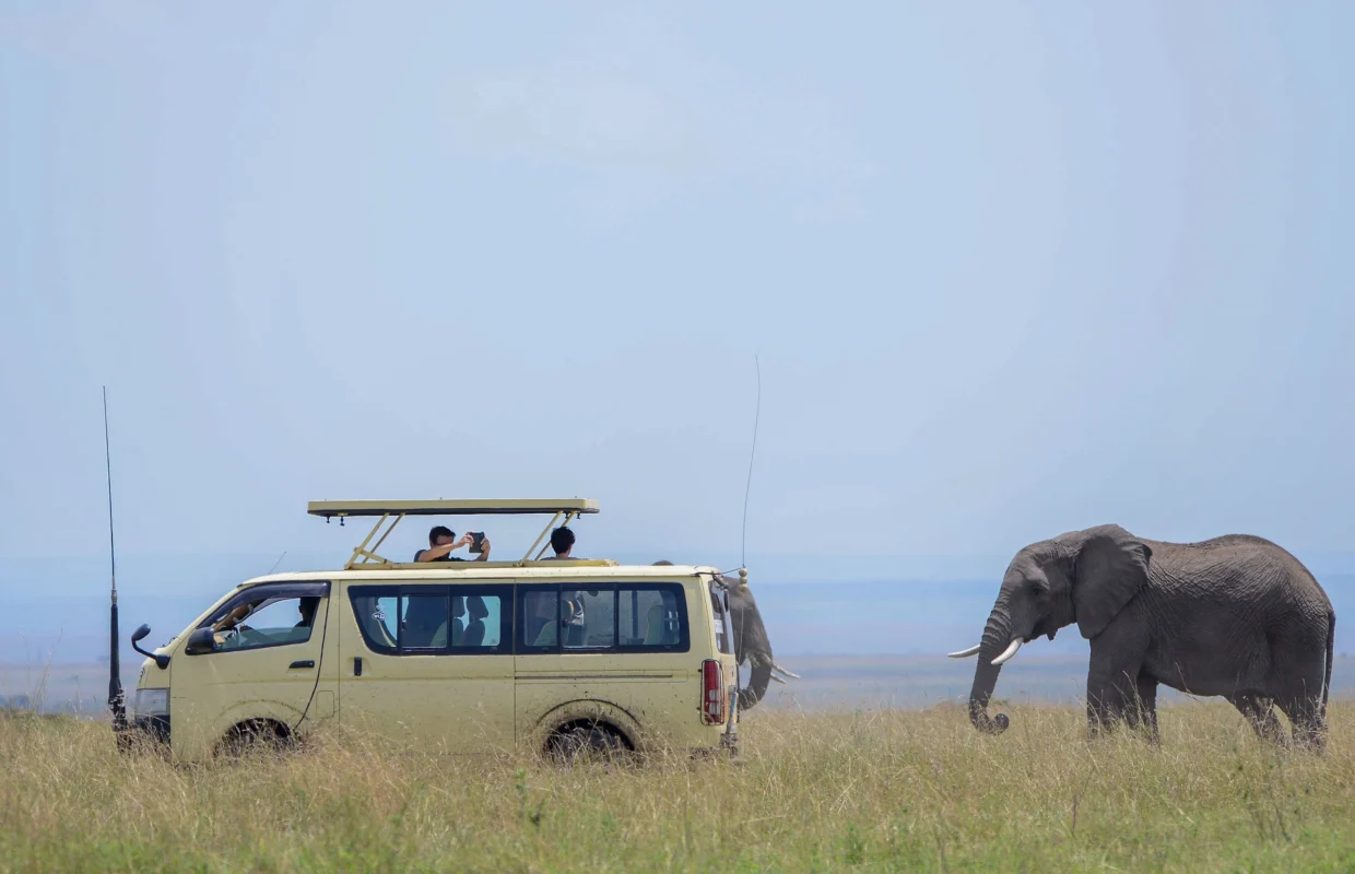 budget-safari-guide-for-uganda-rwanda-and-kenya
