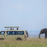 budget-safari-guide-for-uganda-rwanda-and-kenya