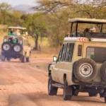 best-safari-vehicles-for-rough-roads