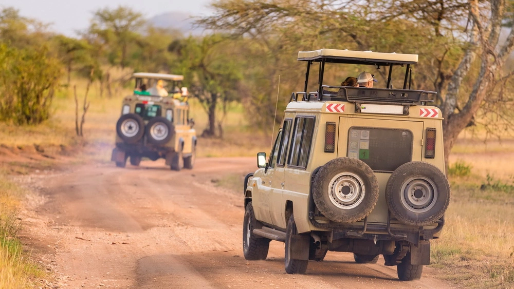 best-safari-vehicles-for-rough-roads