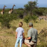 best-time-to-visit-rwanda-for-safaris