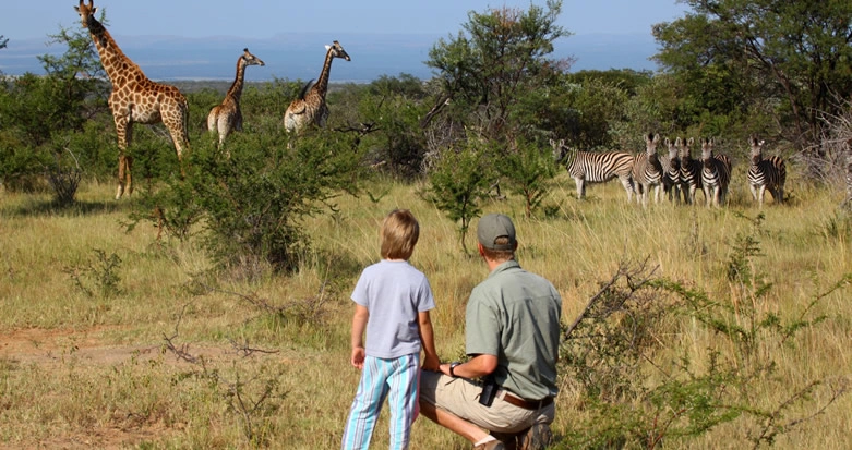 best-time-to-visit-rwanda-for-safaris