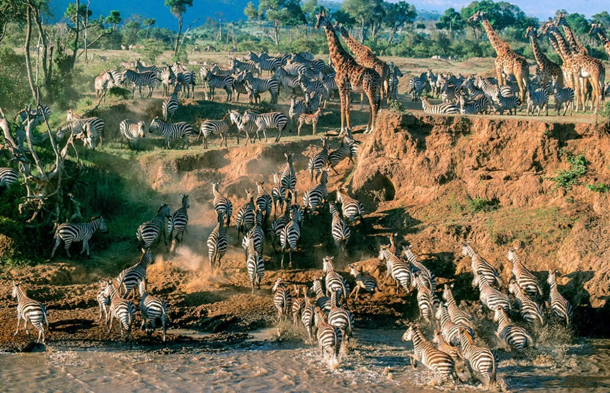 maasai-mara-safari-experiences