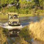 dry-season-vs-wet-season-safaris