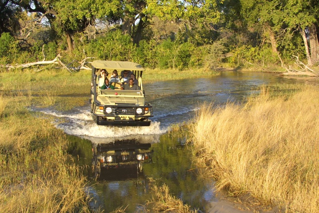 dry-season-vs-wet-season-safaris