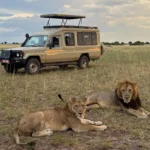 best-wildlife-safaris-in-east-africa