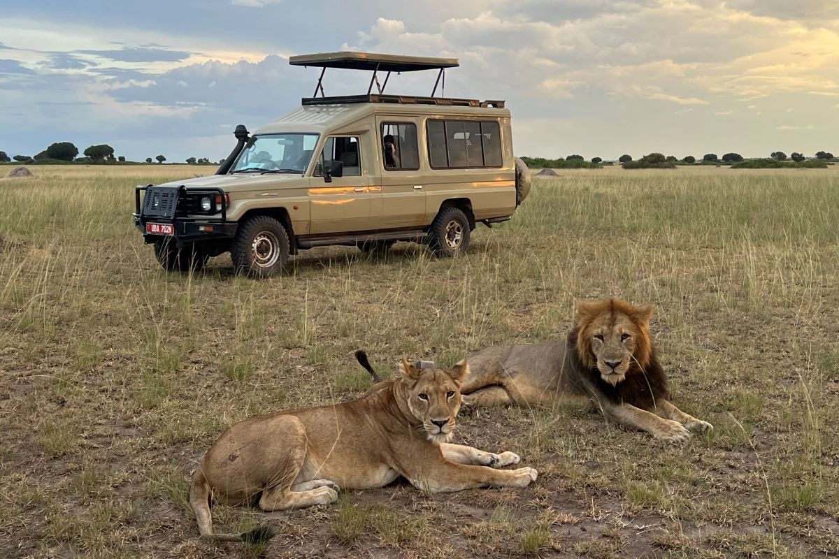 best-wildlife-safaris-in-east-africa
