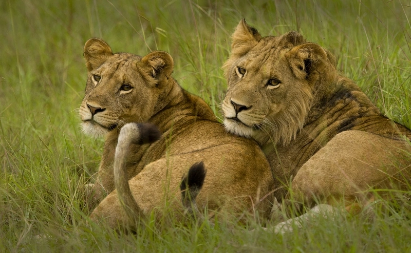 queen-elizabeth-national-park-travel-guide