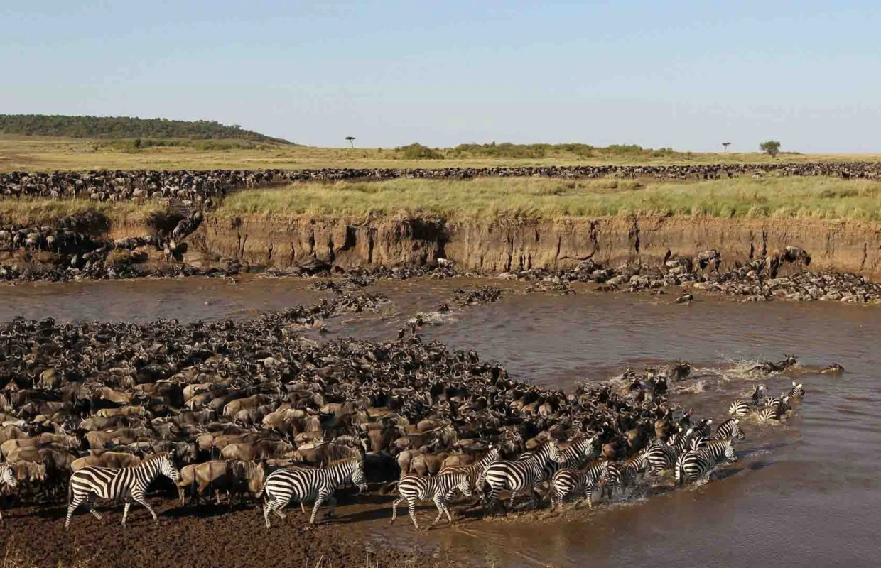 best-time-to-visit-serengeti-national-park