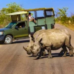 what-to-pack-for-big-five-safaris