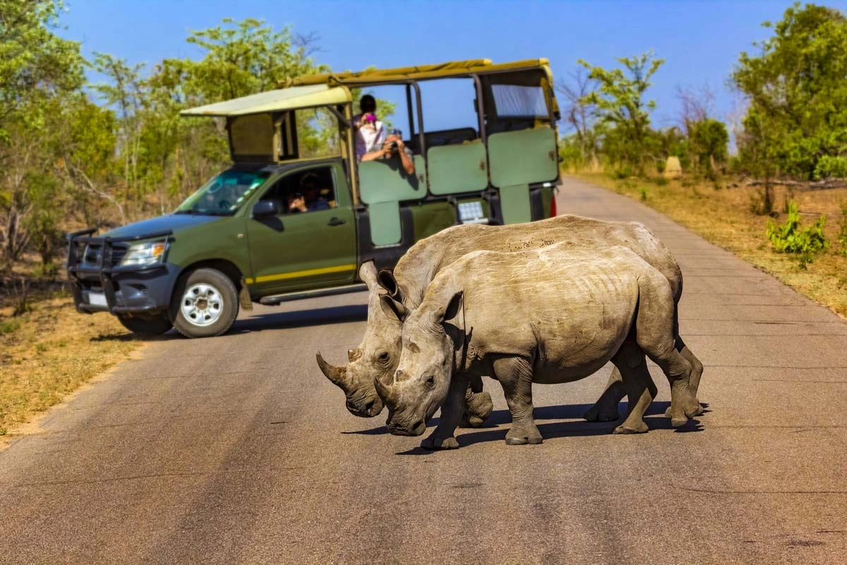 what-to-pack-for-big-five-safaris
