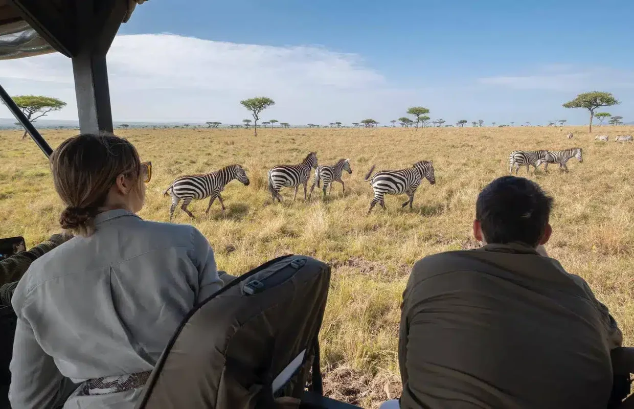 what-to-expect-on-your-first-african-safari-adventure