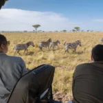 what-to-expect-on-your-first-african-safari-adventure