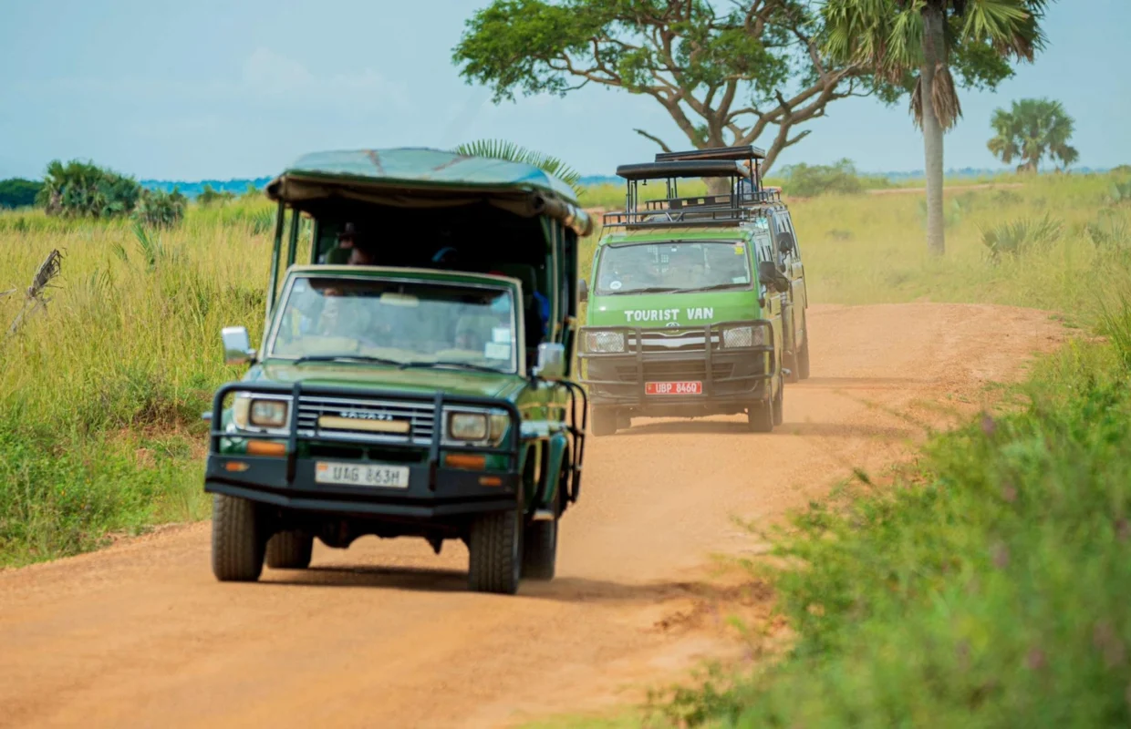 how-to-plan-a-multi-park-game-drive-safari-in-uganda