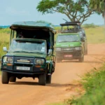 how-to-plan-a-multi-park-game-drive-safari-in-uganda
