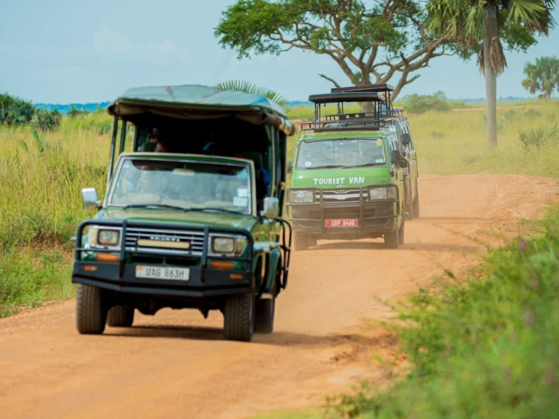 how-to-plan-a-multi-park-game-drive-safari-in-uganda