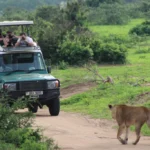 big-five-tracking-and-game-drives-in-uganda