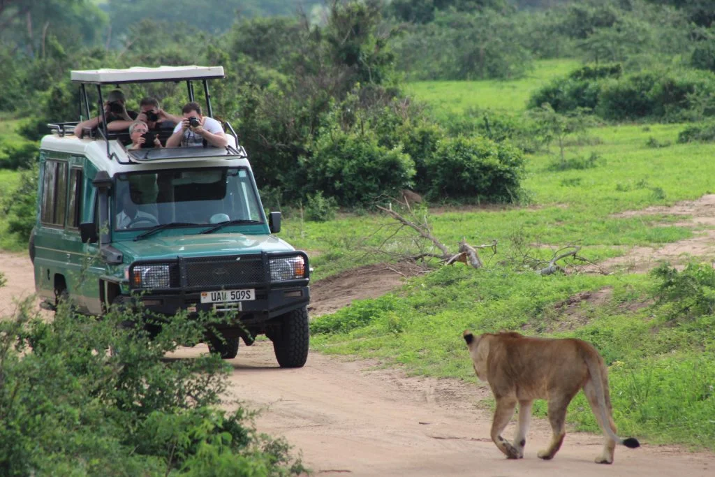 big-five-tracking-and-game-drives-in-uganda