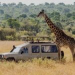 uganda-national-parks-ranked-for-game-drives