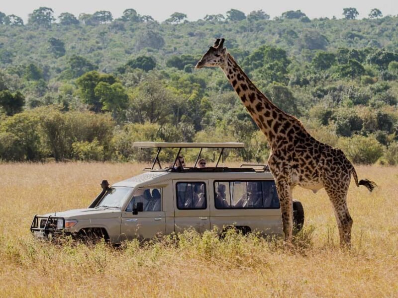 uganda-national-parks-ranked-for-game-drives